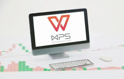 WPS升級(jí)后如何輕松回退至舊版本？詳細(xì)指南助你無憂切換